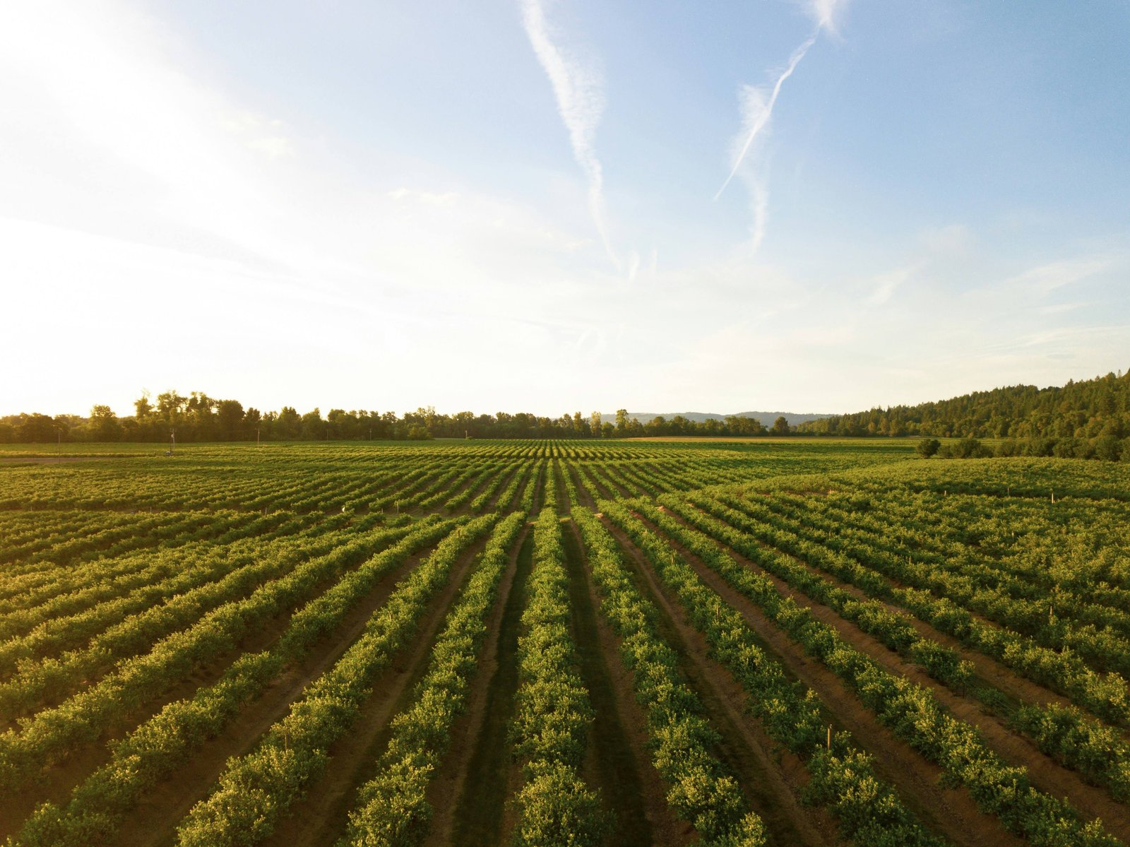 Agriculture industry